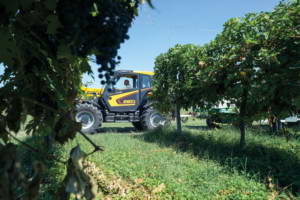 Manipuladores telescopicos fijo agricultura agri max POWER X2 Dieci