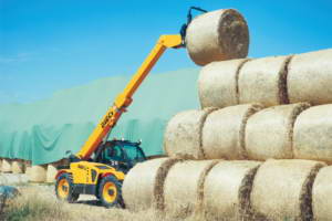 Fixed Telehandlers agriculture agri star OLD Dieci
