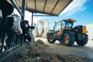 Fixed Telehandlers agriculture agri star OLD Dieci