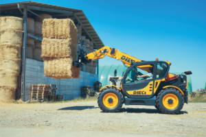 Fixed Telehandlers agriculture agri star OLD Dieci