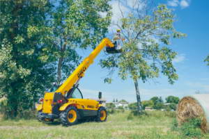 Telescopici fissi agricoltura mini agri OLD Dieci